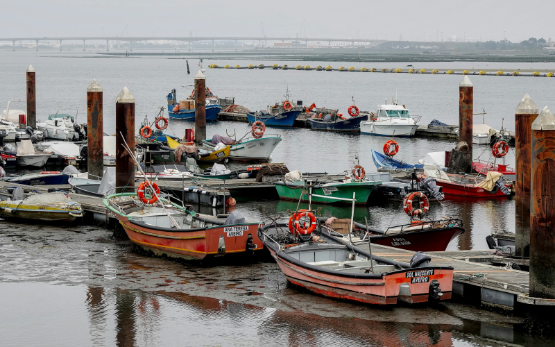 INOVSEA: Impulsionando a inovação na Economia do Mar