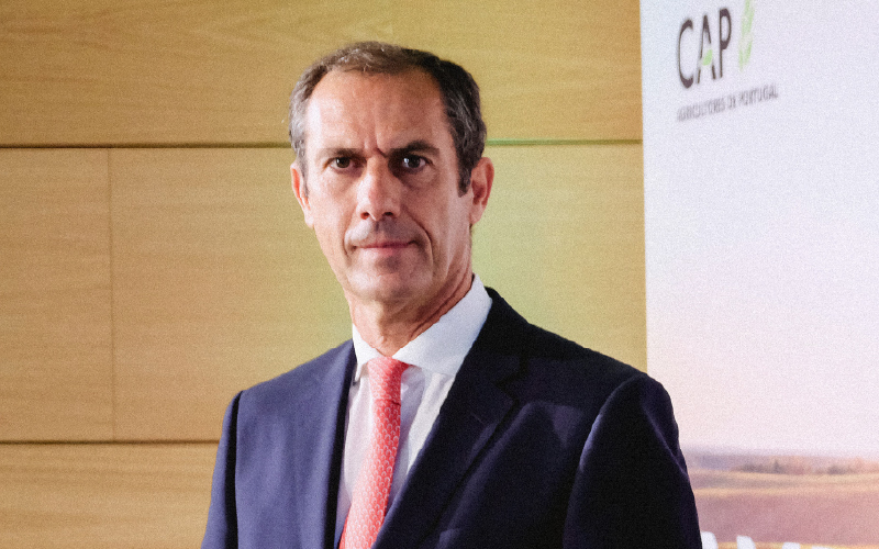 Formação-Ação reforça competitividade das PME agrícolas